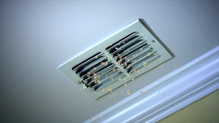 Best HVAC Duct Inspection Services  in Fort Valley, GA